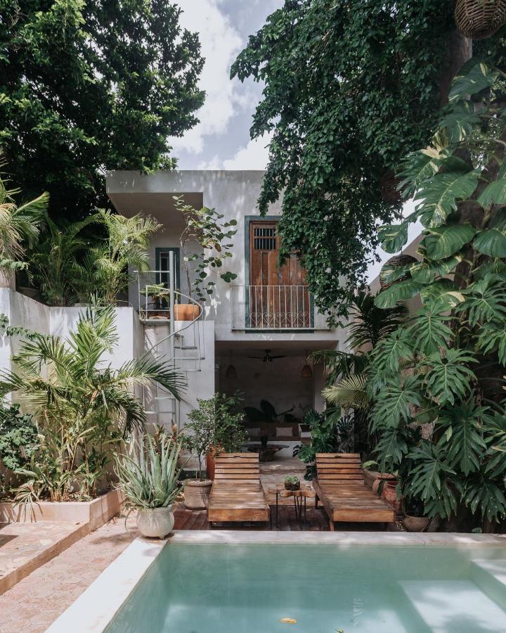 Casa Mezcla - Bed & Breakfast Mérida Eksteriør billede